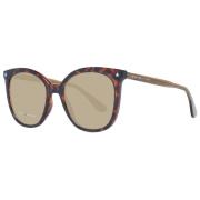 Multicolor Vrouwen Zonnebril Vlinder Stijl Tommy Hilfiger , Brown , Da...