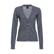 Grijze Leisteen V-Hals Vest Pinko , Gray , Dames