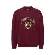 Katoenen Crewneck Sweater met Geborduurd Embleem Tommy Jeans , Brown ,...