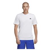 Trein Essentials T-shirt Adidas , White , Heren