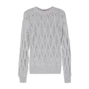 Grijze Cashmere Trui Aw24 Wild Cashmere , Gray , Dames