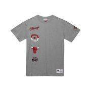 Chicago Bulls City Collection Tee Mitchell & Ness , Gray , Heren