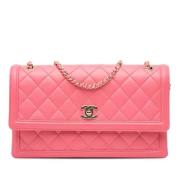 Pre-owned Leather chanel-bags Chanel Vintage , Pink , Dames