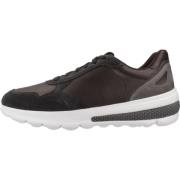 Spherica Actif Sneakers Geox , Brown , Heren