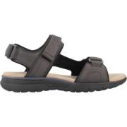 Stijlvolle platte sandalen voor vrouwen Geox , Brown , Heren