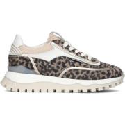 Taupe Animal Print Sneakers Floris van Bommel , Multicolor , Dames