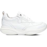 Witte Lage Sneakers voor Dames Xsensible , White , Dames