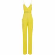 Gele Crepe Jumpsuit met V-Hals Elisabetta Franchi , Yellow , Dames