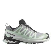 3D V9 GTX Trail Hardloopschoenen Salomon , Gray , Dames