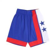 Basketbal shorts NBA Dark Shorts Hardwood Classics Nejnet Mitchell & N...