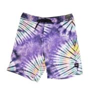 Paarse Tie Dye Boardshorts Vans , Purple , Heren