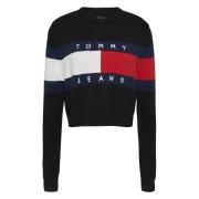 Kleur Blok Trui Tommy Jeans , Black , Dames