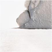 Briogeo Scalp Revival Charcoal + Coconut Oil Micro-Exfoliating Scalp S...