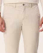 Profuomo Heren Chino