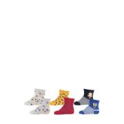 Apollo sokken - set van 6 beige/grijs/rood/geel/blauw Jongens Stretchk...