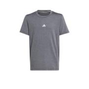 adidas Sportswear sportshirt grijs Sport t-shirt Jongens/Meisjes Gerec...