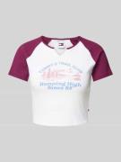 Slim fit kort T-shirt met labeldetail, model 'VINTAGE PREP'