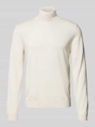 Gebreide pullover van scheerwol met col