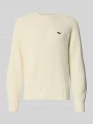 Regular fit gebreide pullover van pure wol