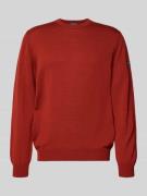 Gebreide pullover van scheerwol