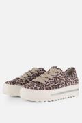 Gabor Leopard Sneakers beige Leer