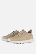 Panama Jack Jensen C1 Sneakers taupe Leer