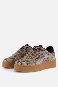 Cellini Snake Sneakers beige Synthetisch