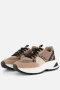 Cellini Leopard Sneakers beige Textiel