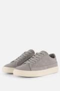 Vertice Sneaker grijs Suede