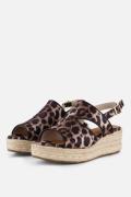 Cellini Sandalen Leopard bruin Textiel