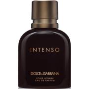 Dolce & Gabbana Ph Intenso Eau De Parfum  75 ml