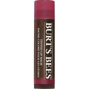 Burt´s Bees Tinted Lip Balm Daisy 4,3 g