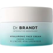 Dr. Brandt Needles No More Wrinkle Hyaluronic Facial Cream 50 ml