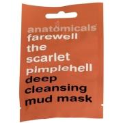 Anatomicals Pimplehell Deep Cleansing Mud Face Mask 15 ml