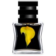 SG79 STHLM No.23 Yellow Eau De Parfum  15 ml