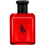 Ralph Lauren Polo Red EdT 75 ml