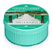 Country Candle Citrus & Seagrass Daylight 42 g