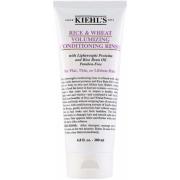 Kiehl's Rice & Wheat Volumizer Conditioner 200 ml