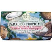 Nesti Dante Paradiso Tropicale St. Barth's Coconut & Frangipani 2