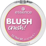 essence Blush Crush! 60 Lovely Lilac