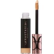 Anastasia Beverly Hills Magic Touch Concealer 14