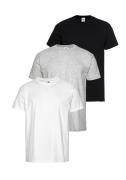 Fruit of the Loom T-shirt met een ronde hals (set, 3-delig)