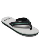 Quiksilver Sandalen Molokai Layback Saturn