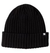 DC Shoes Beanie Fish N Destroy 2