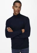 NU 20% KORTING: ONLY & SONS Coltrui ONSWYLER LIFE REG ROLL NECK KNIT N...