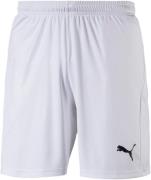 PUMA Trainingsshort LIGA SHORTS CORE