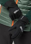 NU 20% KORTING: Jack Wolfskin Skihandschoenen WINTER BASIC GLOVE