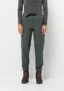 Jack Wolfskin Trekkingbroek WANDERMOOD PANTS W