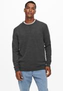 ONLY & SONS Trui met ronde hals ONSALEX 12 SOLID CREW NECK KNIT