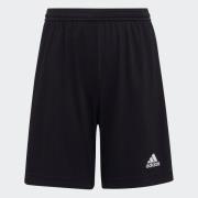 adidas Performance Trainingsshort ENT22 SHO Y (1-delig)